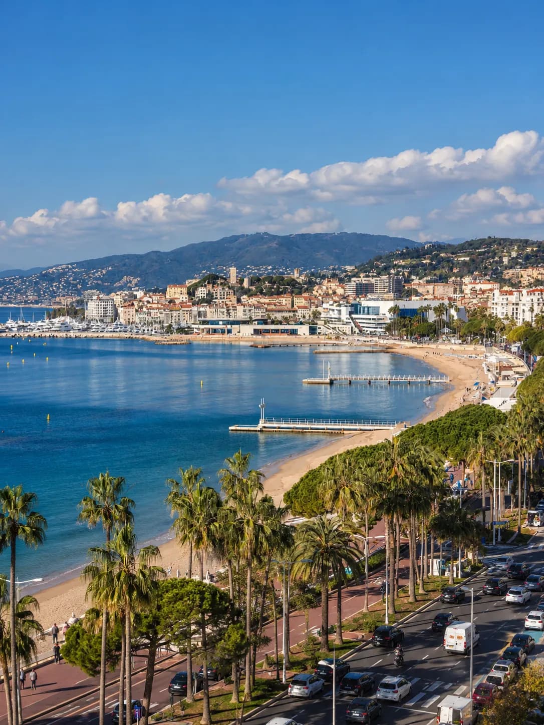 JOHNSLEY Immobilier de Prestige à Cannes